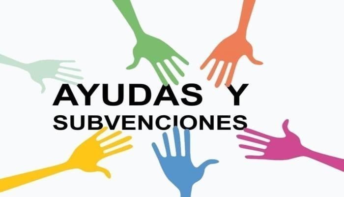 Ayudas para el apoyo a la reactivación económica de la actividad ...